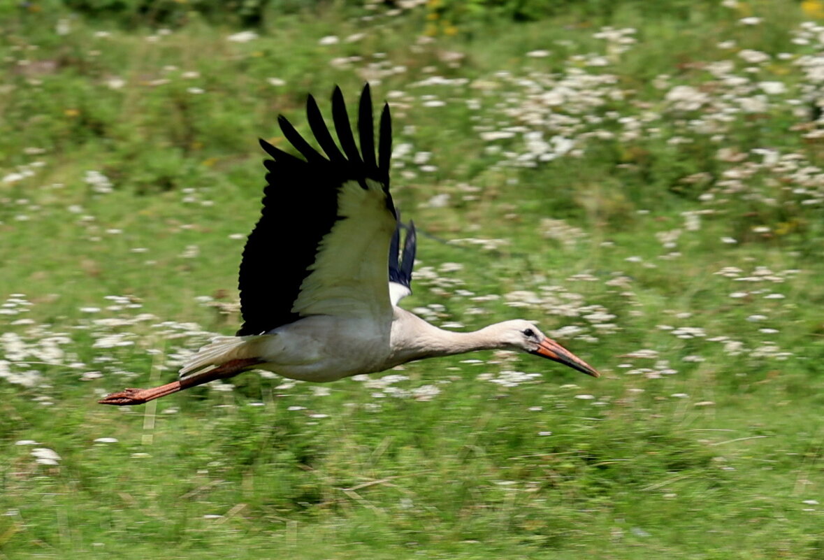 Полетели.... - Александр Кондаков