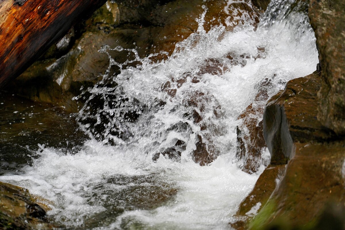 Бурный поток - Татьяна Тюменка