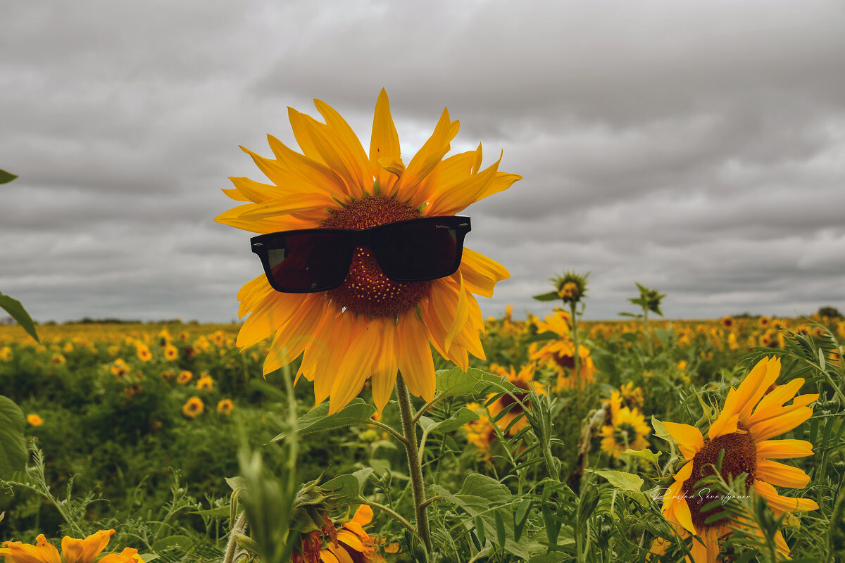 пейзаж - סּﮗRuslan HAIBIKE Sevastyanovסּﮗסּ