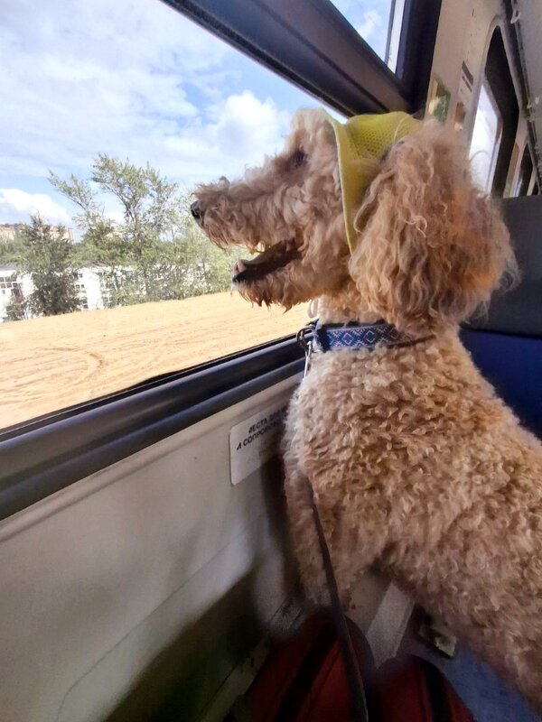 *** - Владимир Захаров