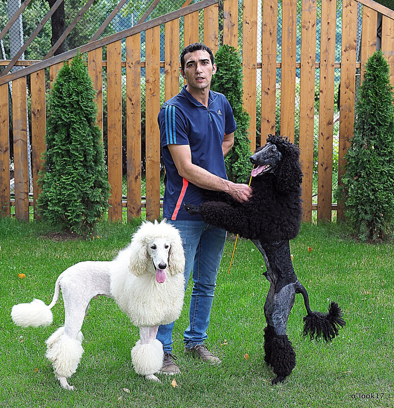 почти цирк - Олег Лукьянов