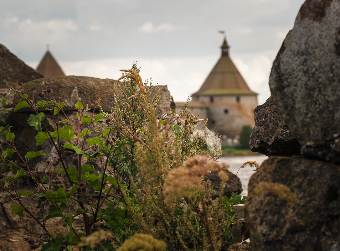 В поисках артефактов - Магомед .