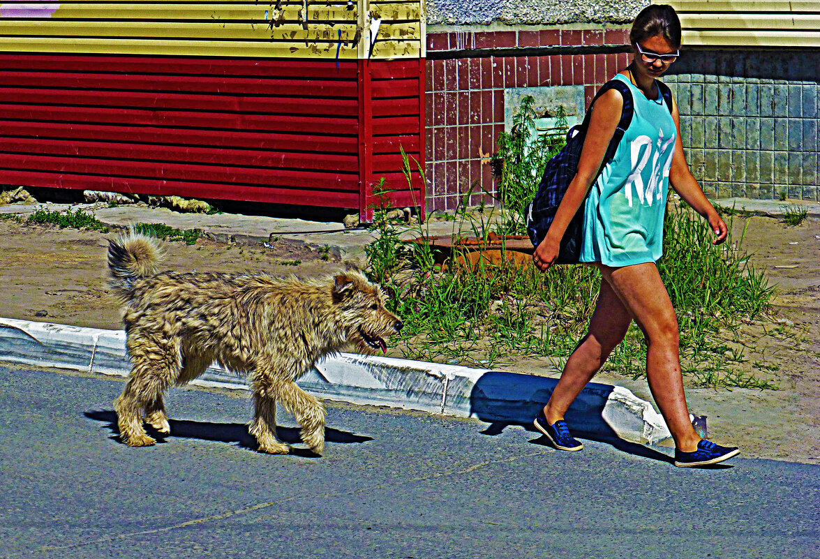 А пес похож на рысь! - Владимир 