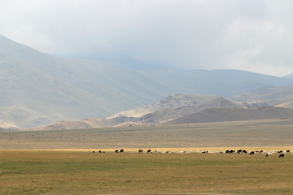 Был жаркий день - LudMila 