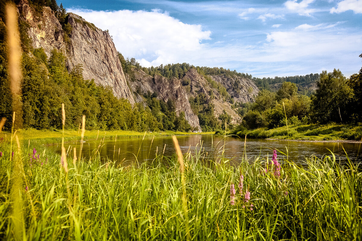 Заповедное озеро - Галина Муха