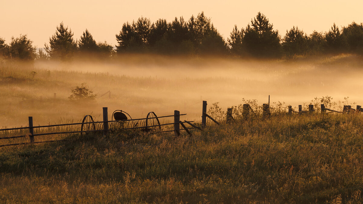 Золотой рассвет - Sergey38 