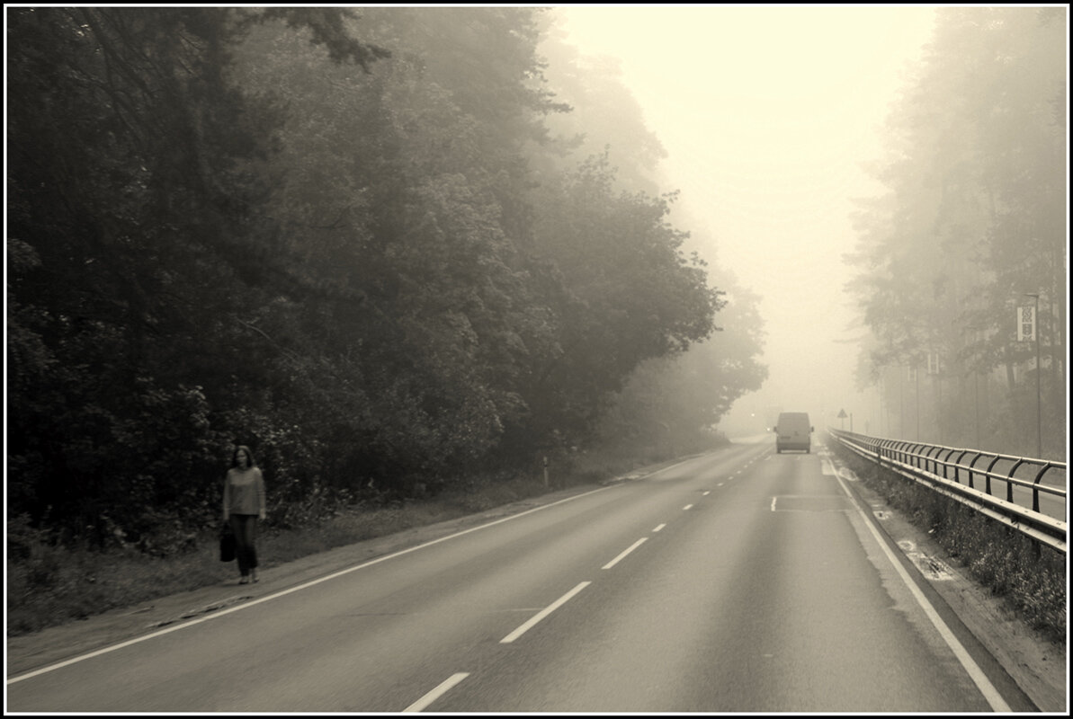 Туман на дороге - Aleksandr Gal