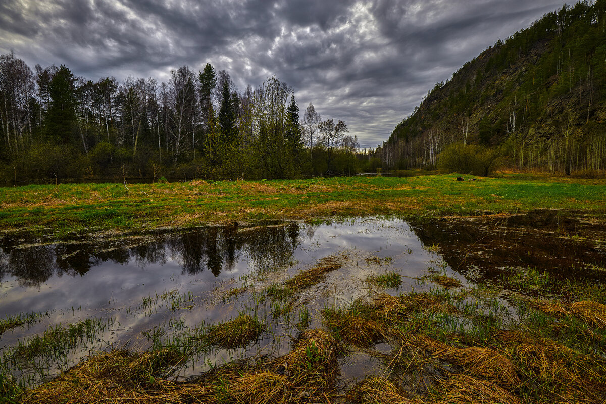 Такая разная весна. - Юрий кот
