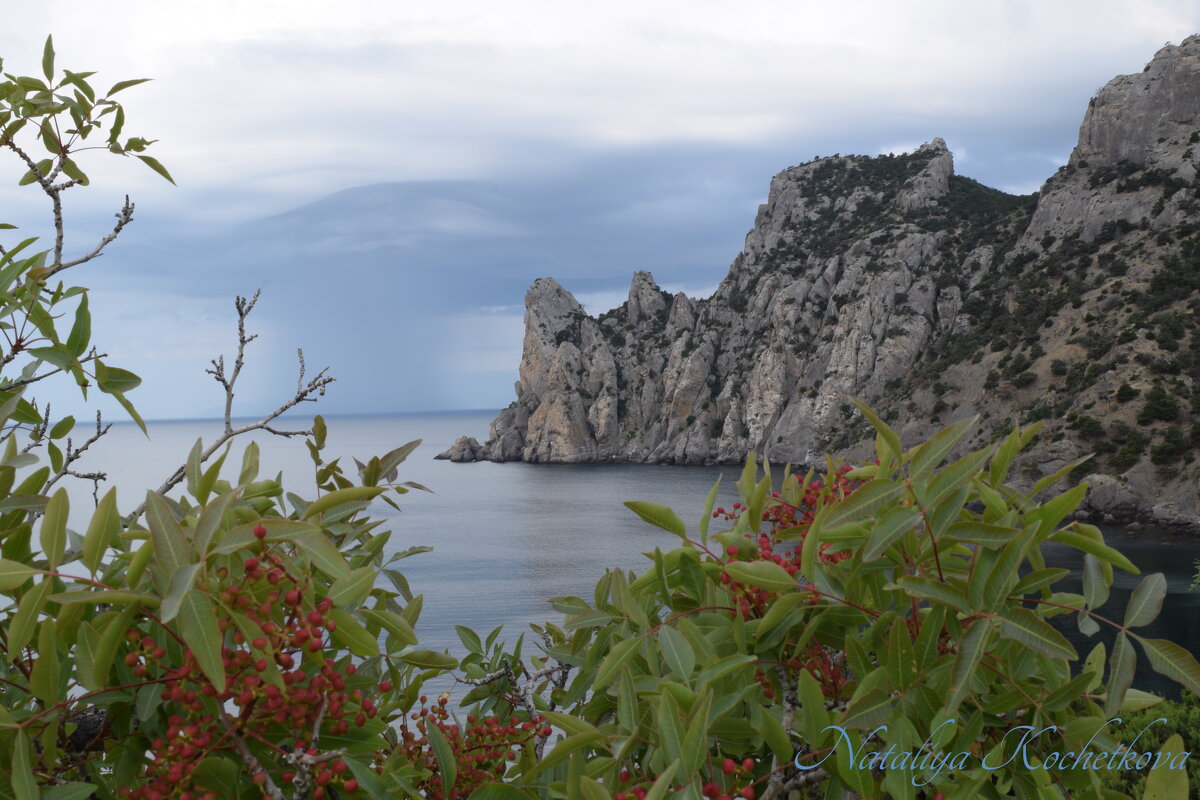 Природа Крыма - Amazing Cosmea