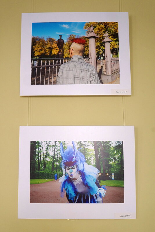 фотовыставка "Обитатели Летнего сада" - zavitok *