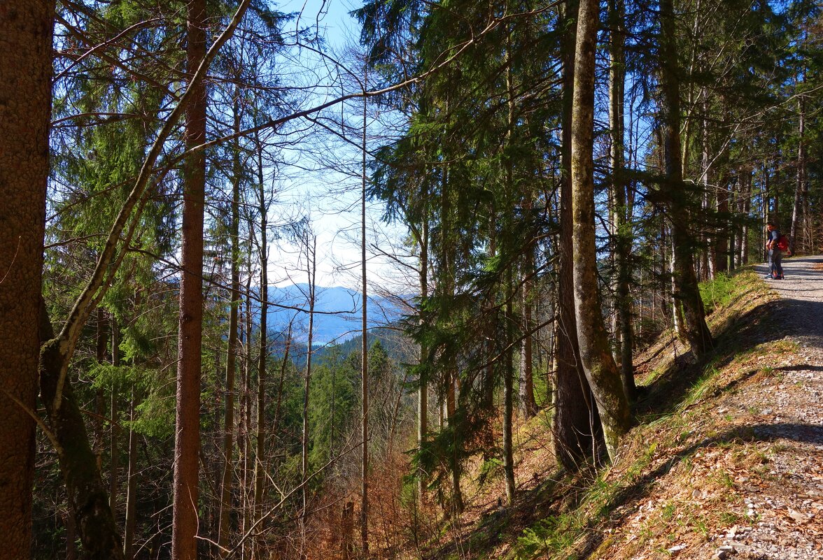 Бавария... - Галина 