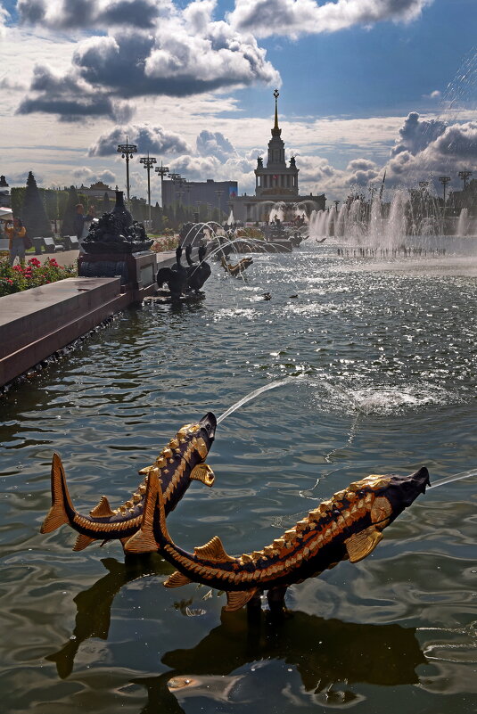 ВДНХ 10 августа - Михаил Бибичков ВДНХ 10 августа - Михаил Бибичков