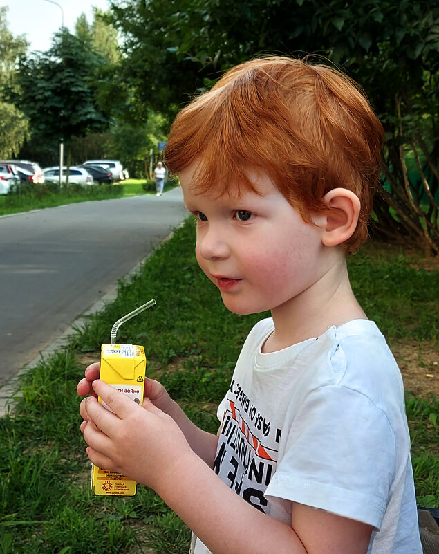 Солнечный мальчик. - Владимир Безбородов