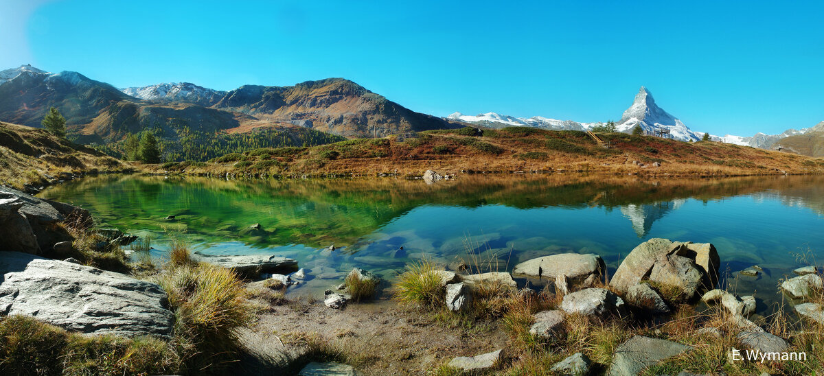 Panorama - Elena Wymann