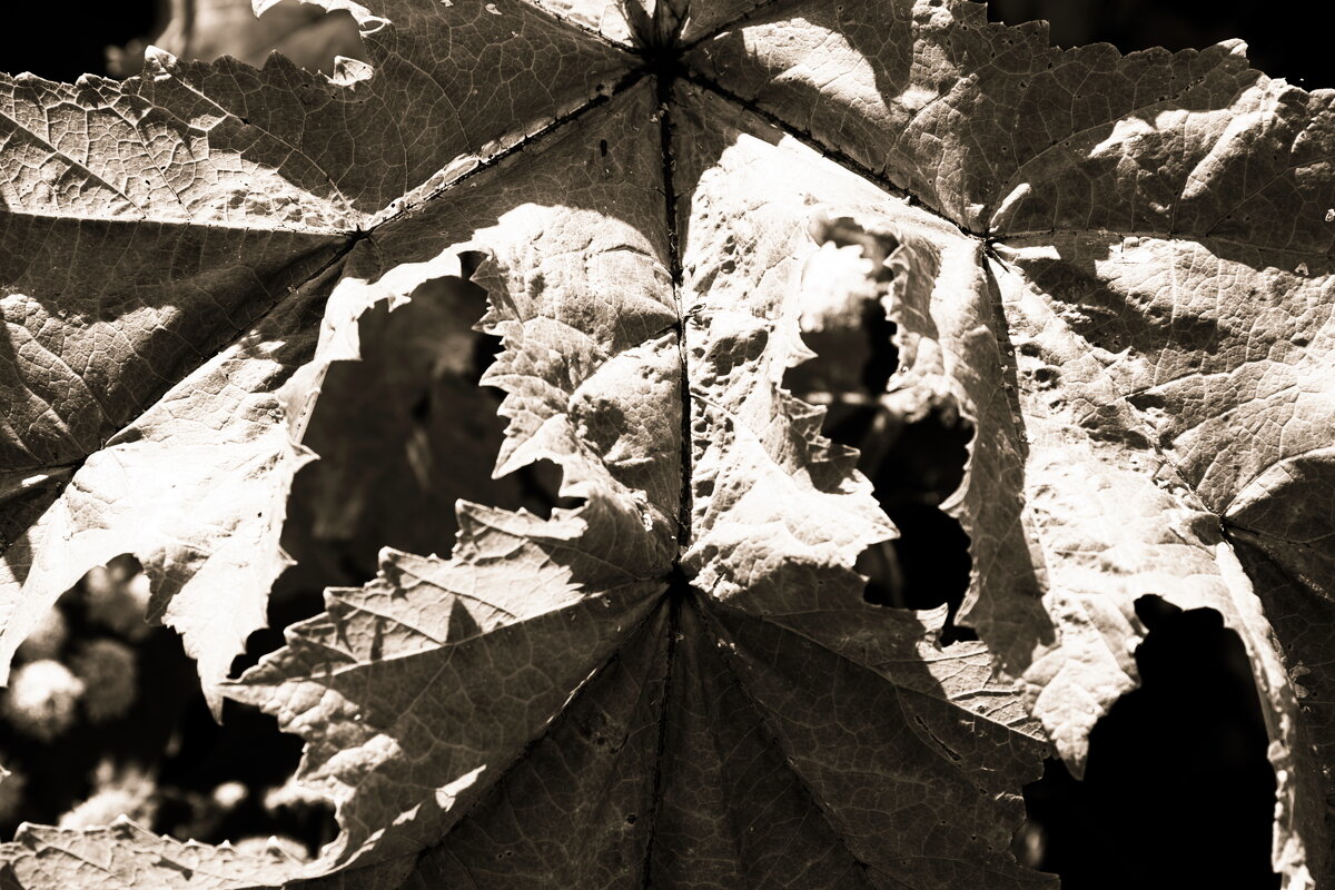 Назва. отсу. - Денис Безногов