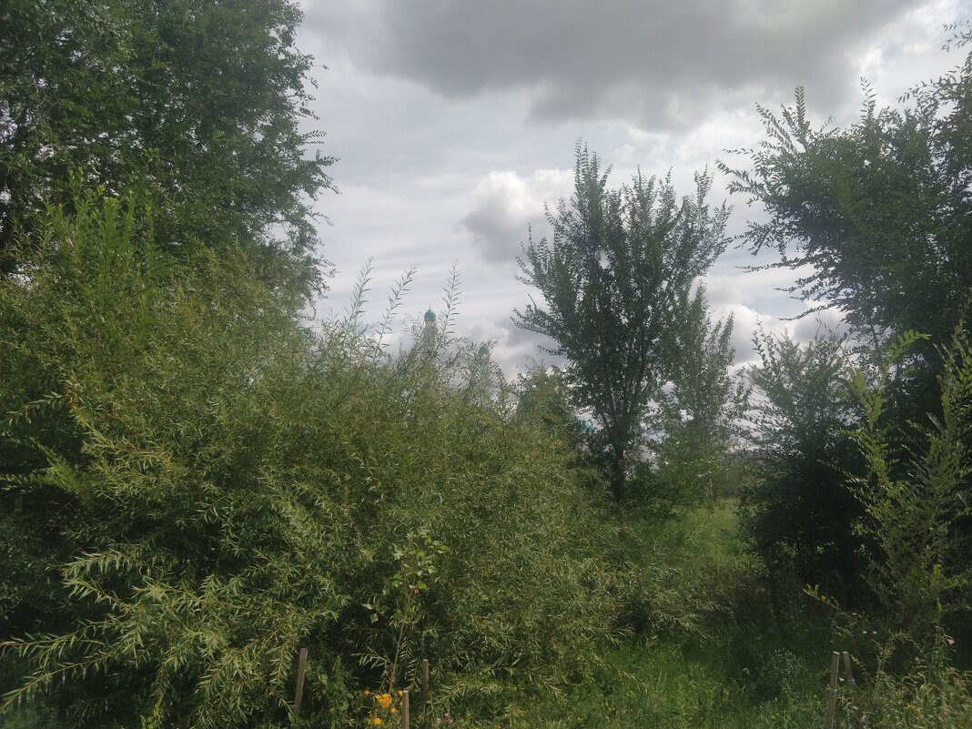 Август зеленый - Андрей Хлопонин