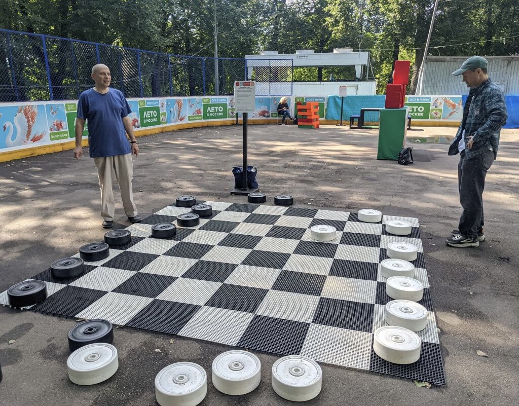 Турецкие шашки. Играю чёрными - Дмитрий Никитин