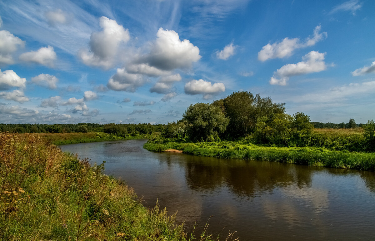 В Августе на Клязьме 2 - Андрей Дворников