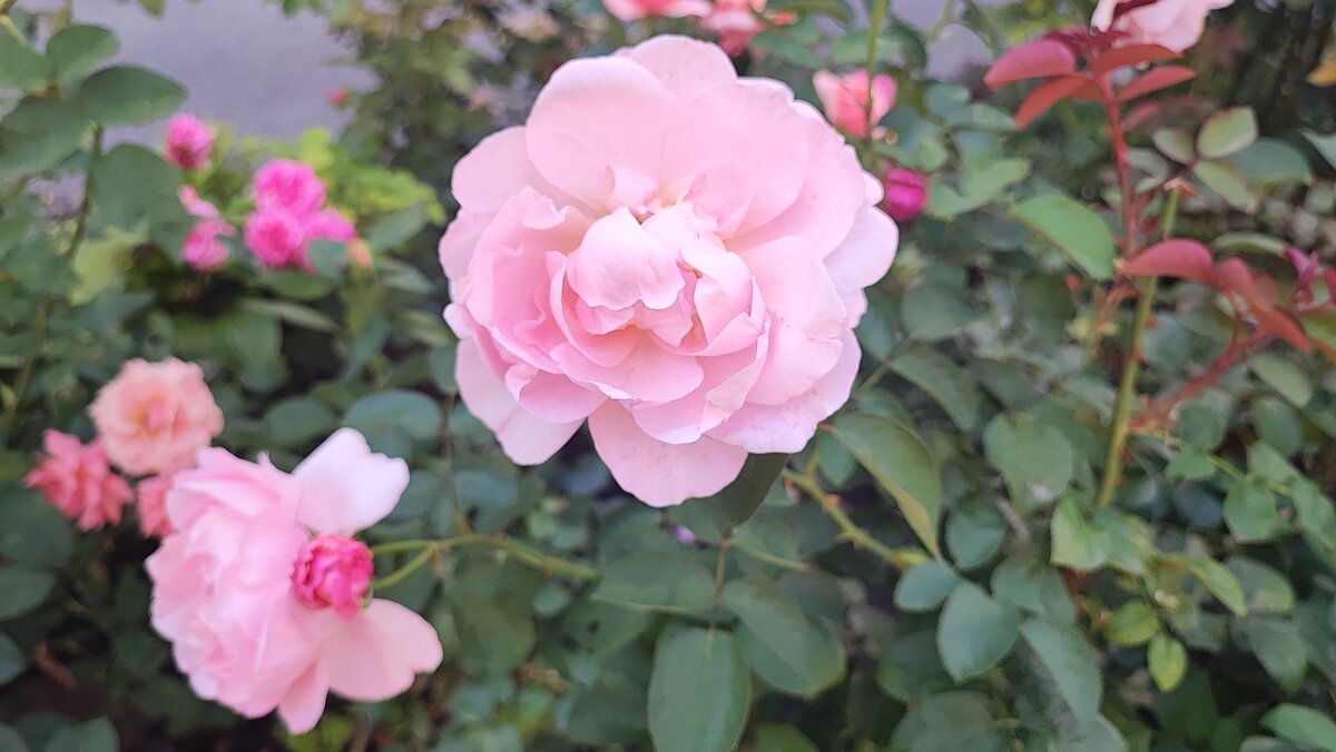 ,,, - Сергей Тимоновский