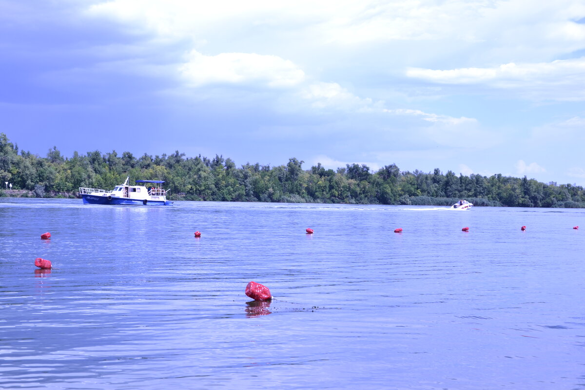 Дон. - Виктор 