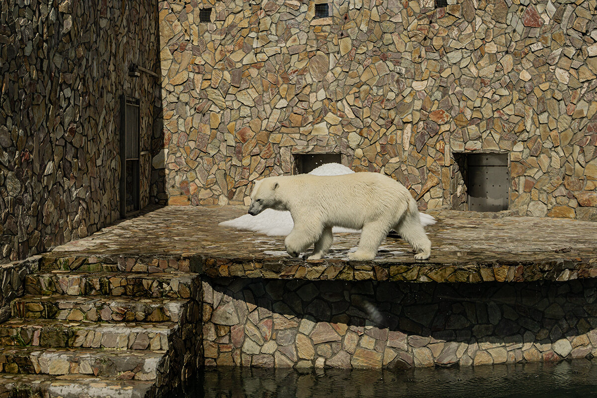 Мне жара не страшна! - Ирина Соловьёва