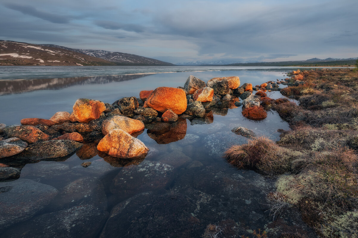 Камушки и вода - Дмитрий Шишкин Камушки и вода - Дмитрий Шишкин