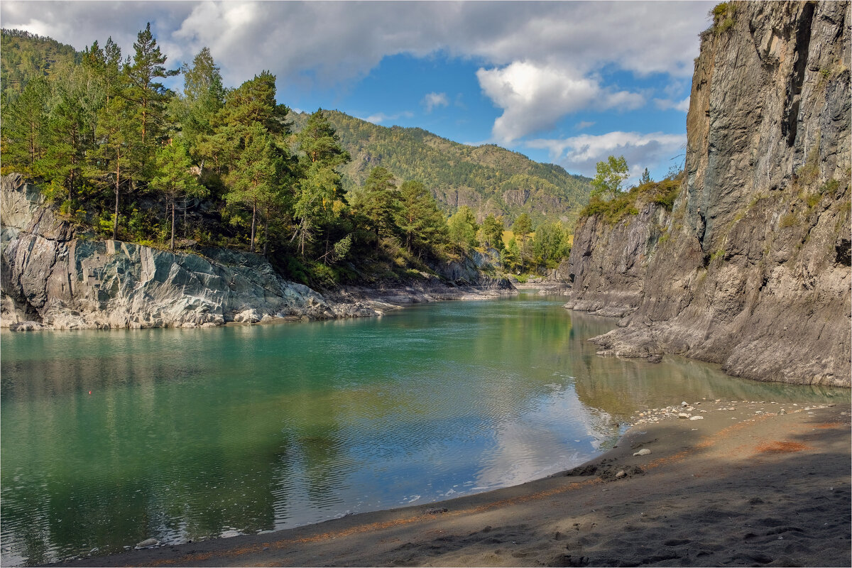 **** - Алексей Мезенцев