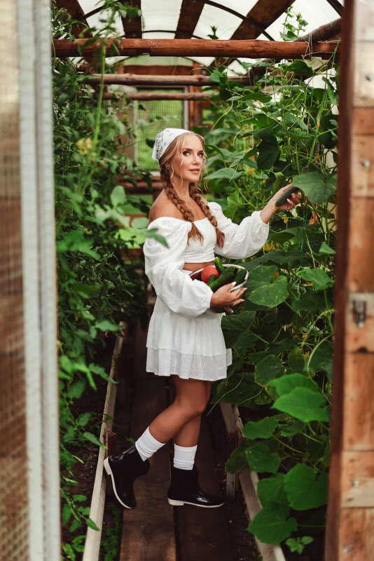 Тепличная история - Анна Ермоленко