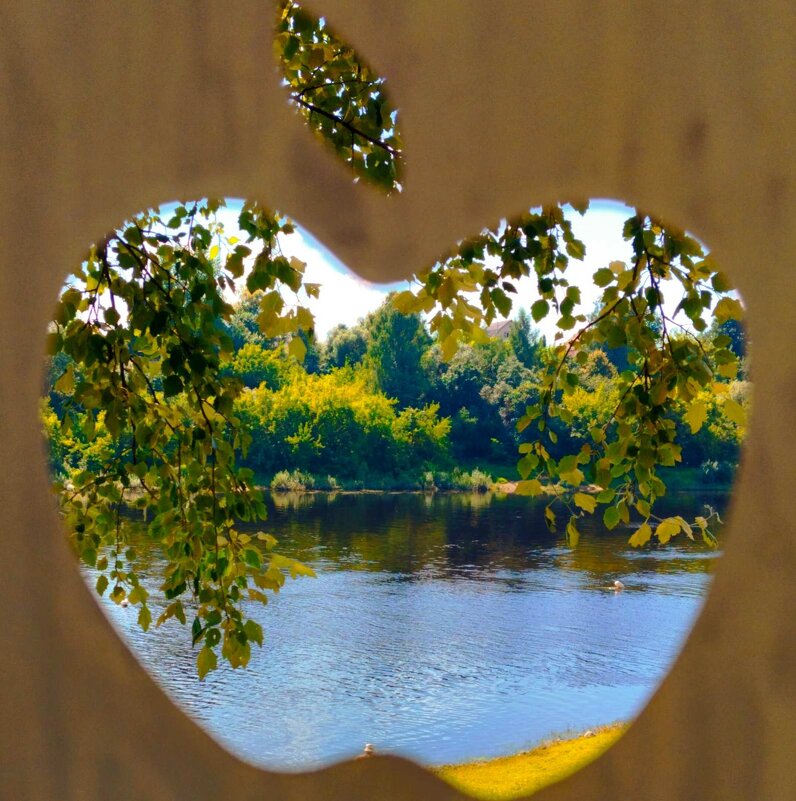 Такие разные яблочки - Галина Бобкина