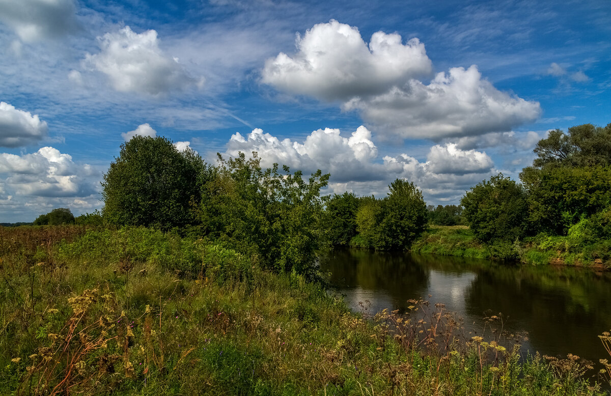 В Августе на Клязьме 3 - Андрей Дворников В Августе на Клязьме 3 - Андрей Дворников