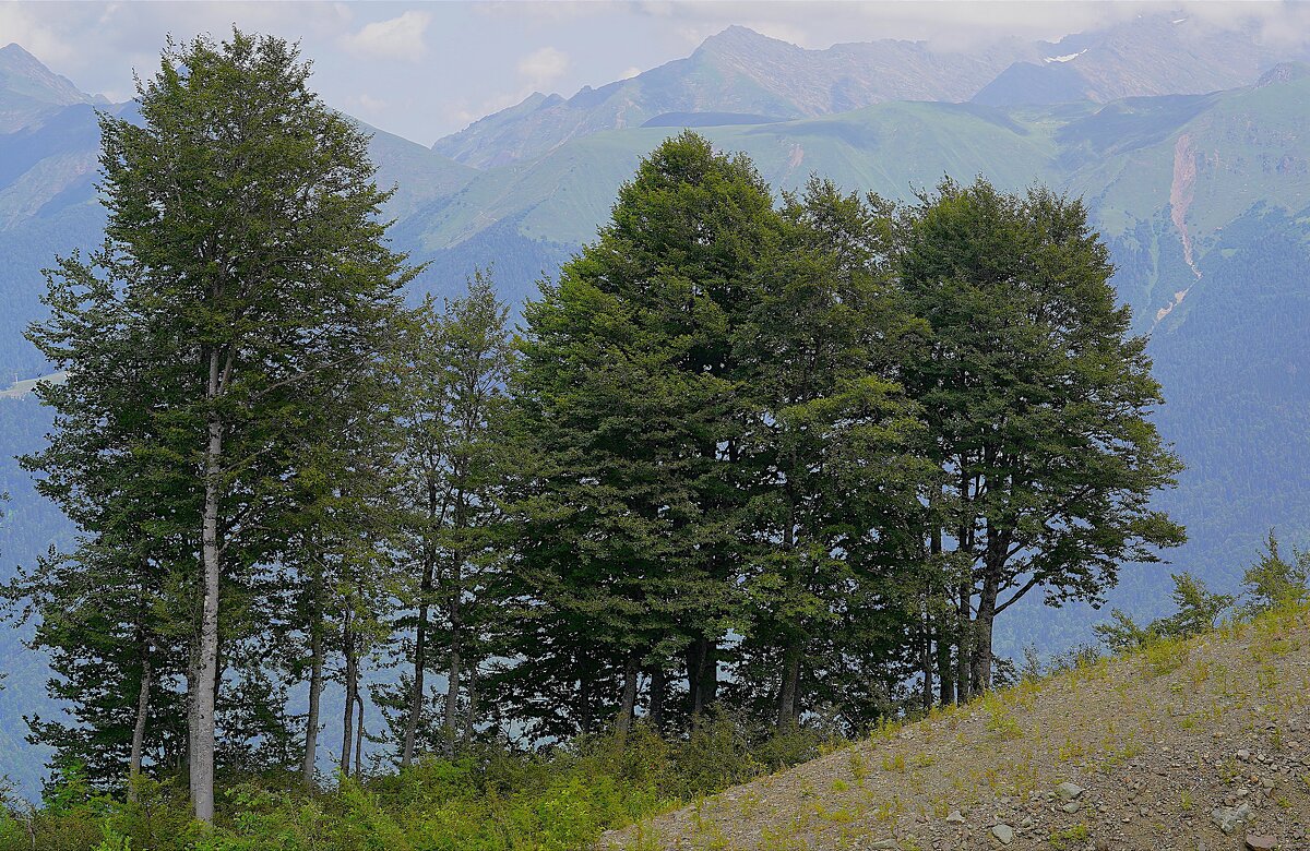 В горах - Татьяна Тюменка