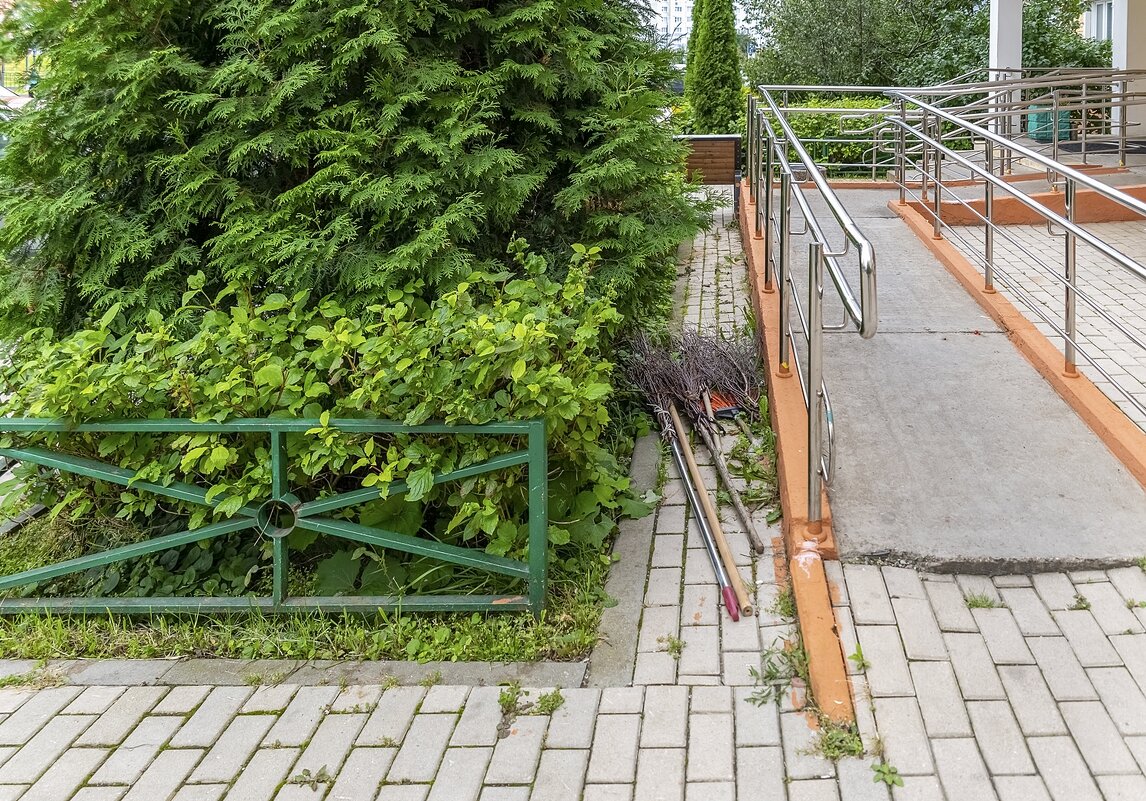 То ли шабаш ведьм, то ли забастовка дворников - Валерий Иванович То ли шабаш ведьм, то ли забастовка дворников - Валерий Иванович