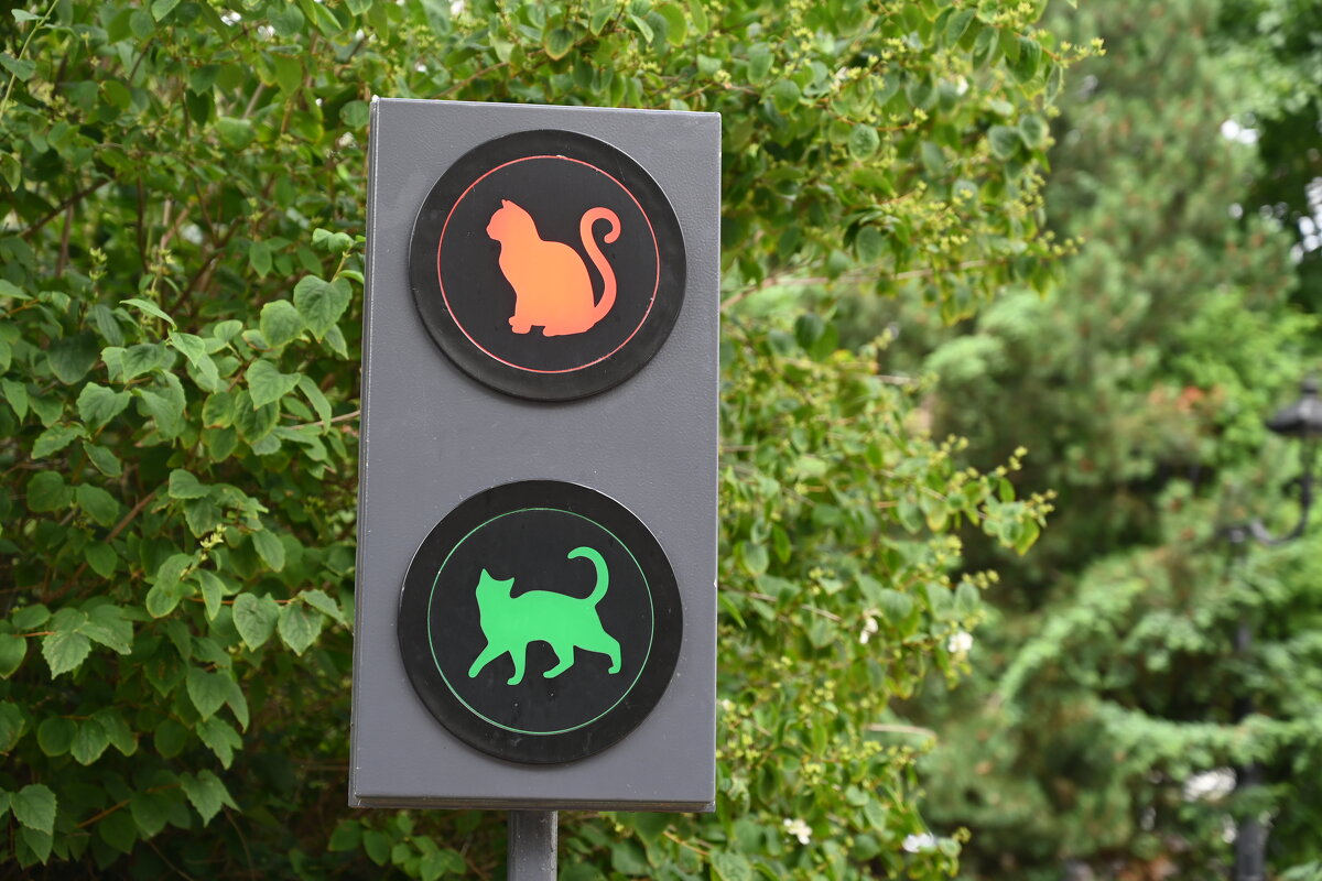 Солнечный город - redfox 