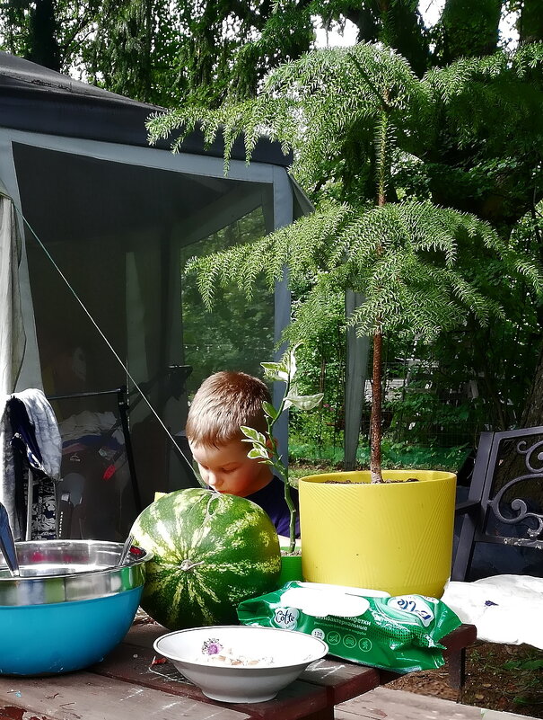 Дачный этюд - Ольга Довженко Дачный этюд - Ольга Довженко