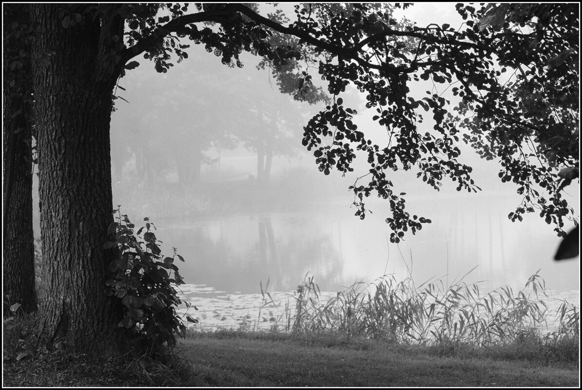 уиро туманное.. - Aleksandr Gal