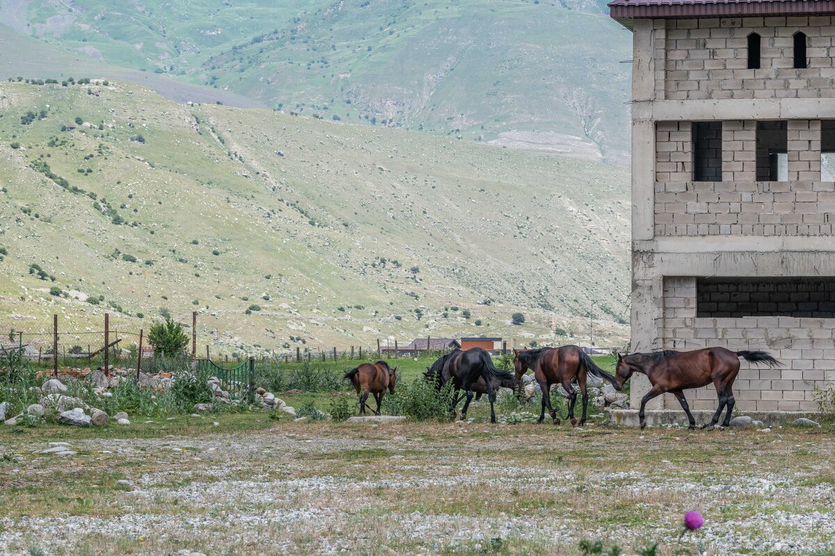 "Протопали лошади" - Константин Бобинский