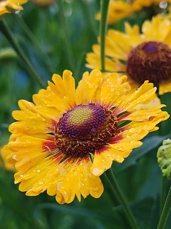 Утро - Андрей 