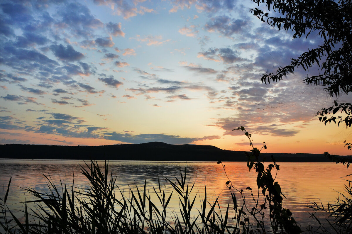 Приходит к нам рассвет таинственно и тихо.... - Надежда Куркина 