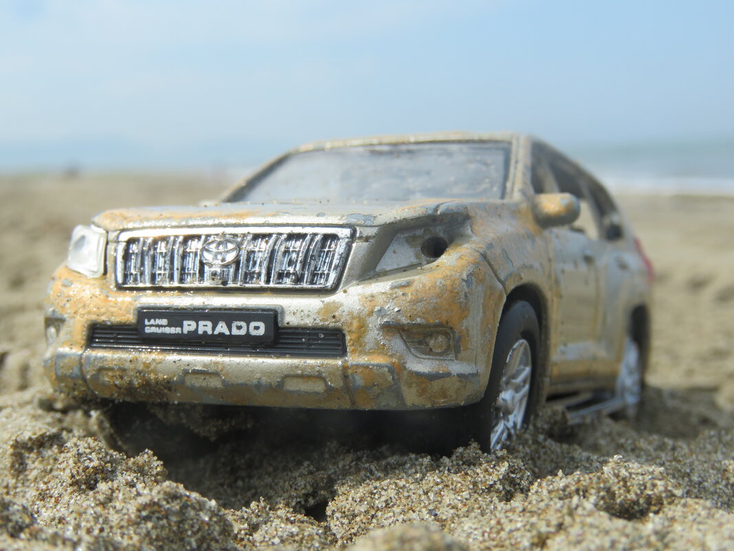 на побережье залива Анива. - ИРЭН@ .