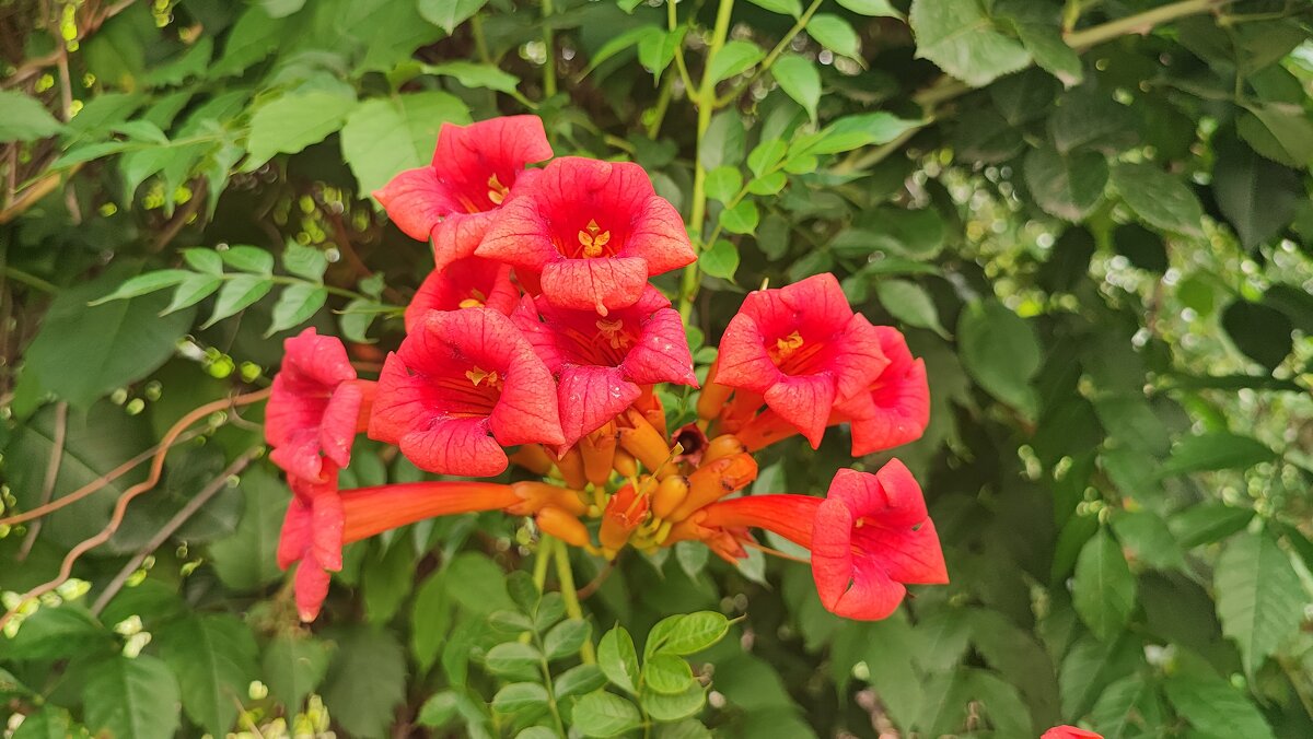 ,,, - Сергей Тимоновский