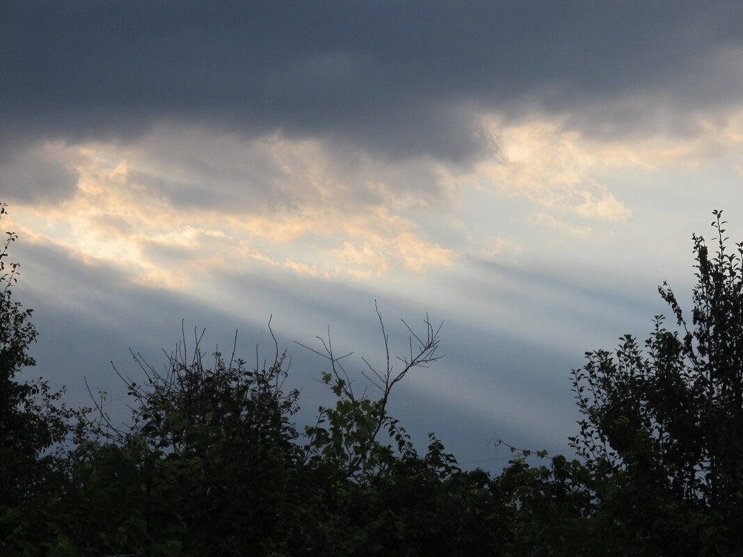 вечер - Елена Шаламова