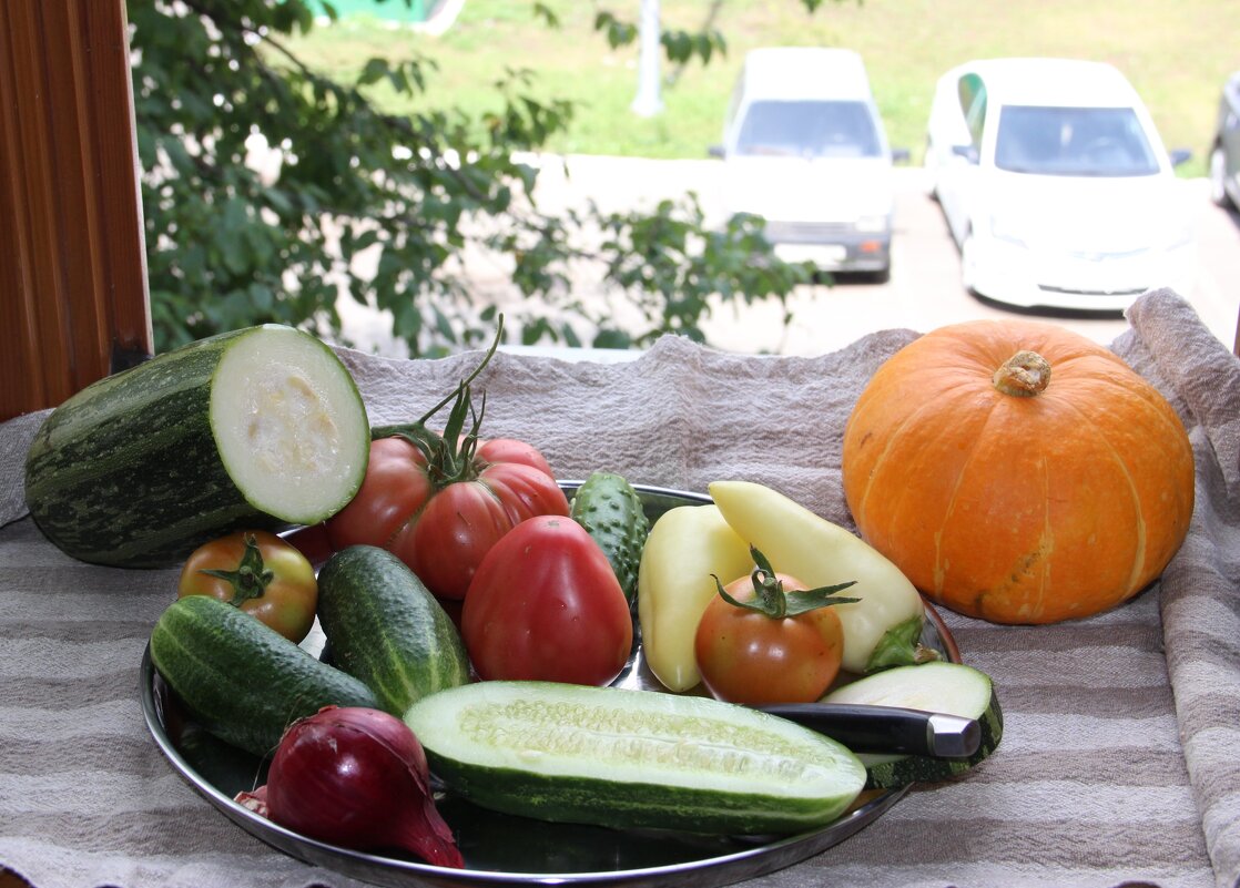 Август. - Венера Чуйкова