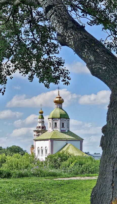 Суздаль - Михаил Свиденцов