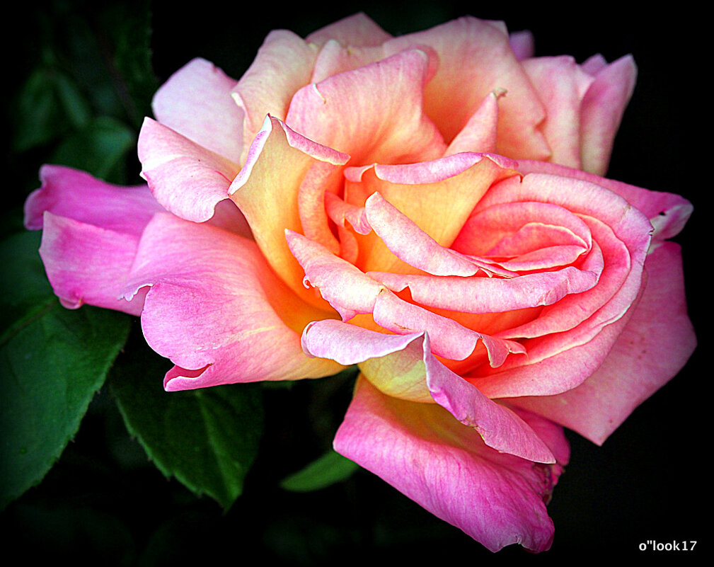 они на радость нам даны - Олег Лукьянов