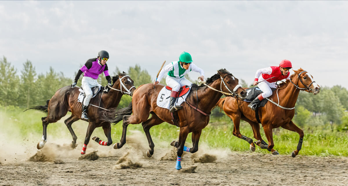 Скачки - SanSan 