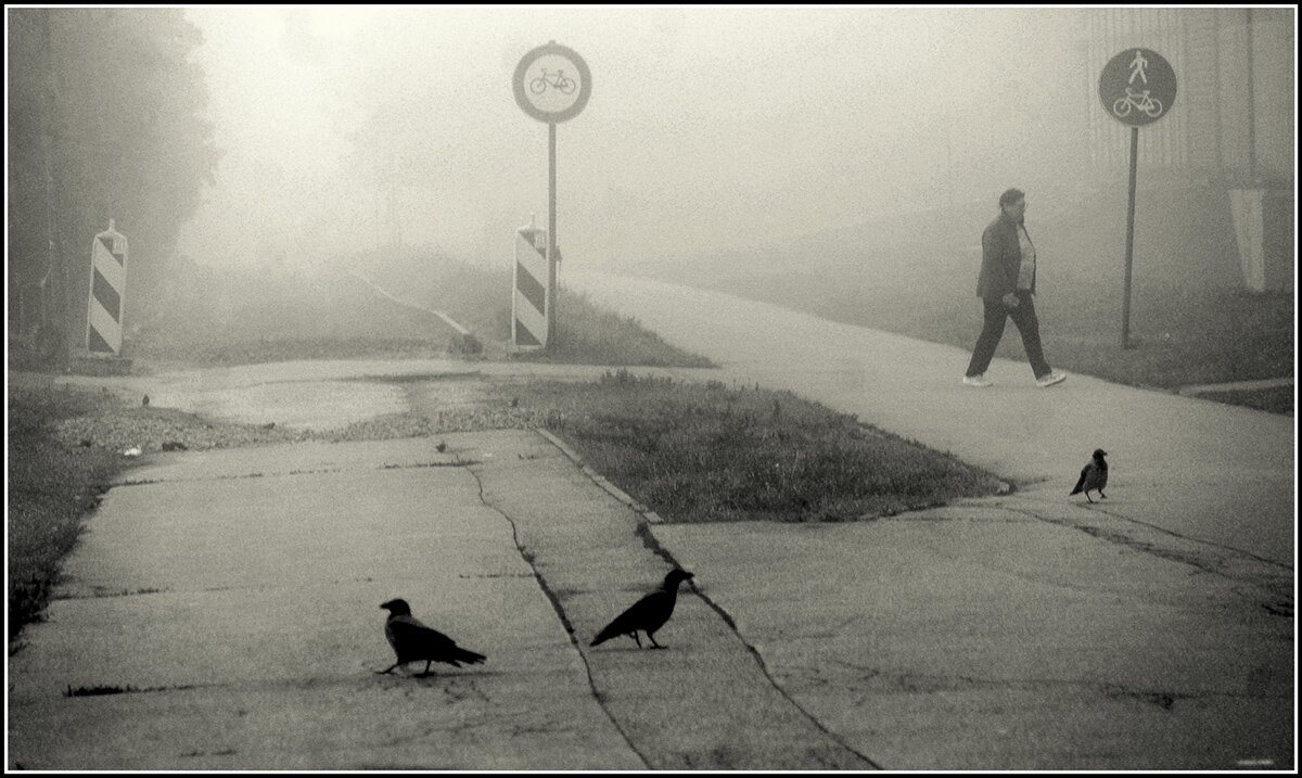 УТРО ТУМАННОЕ - Aleksandr Gal