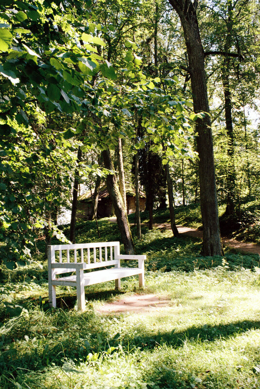 Скамья в парке Тригорского - Олег Зоркий