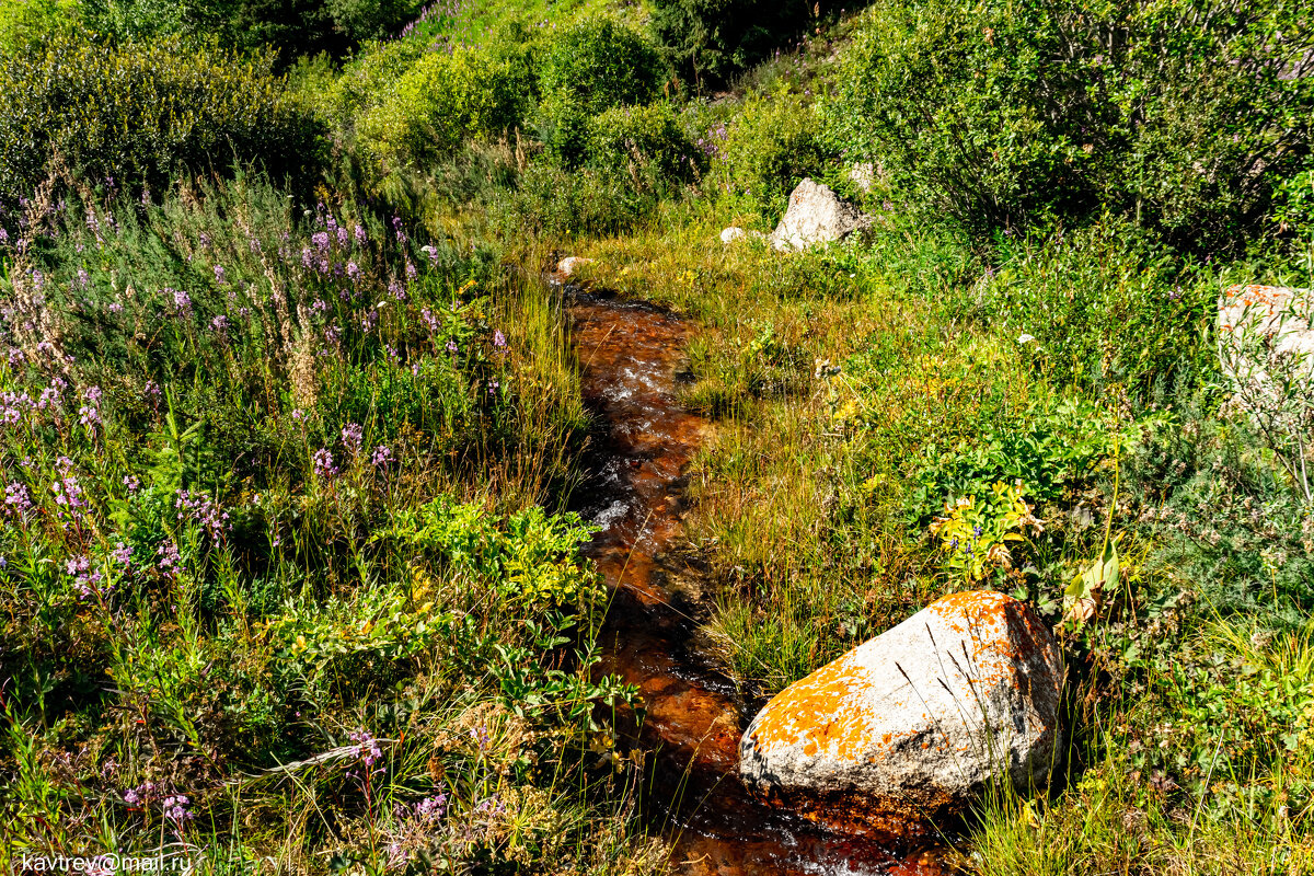 1 - HART BAD 1 - HART BAD