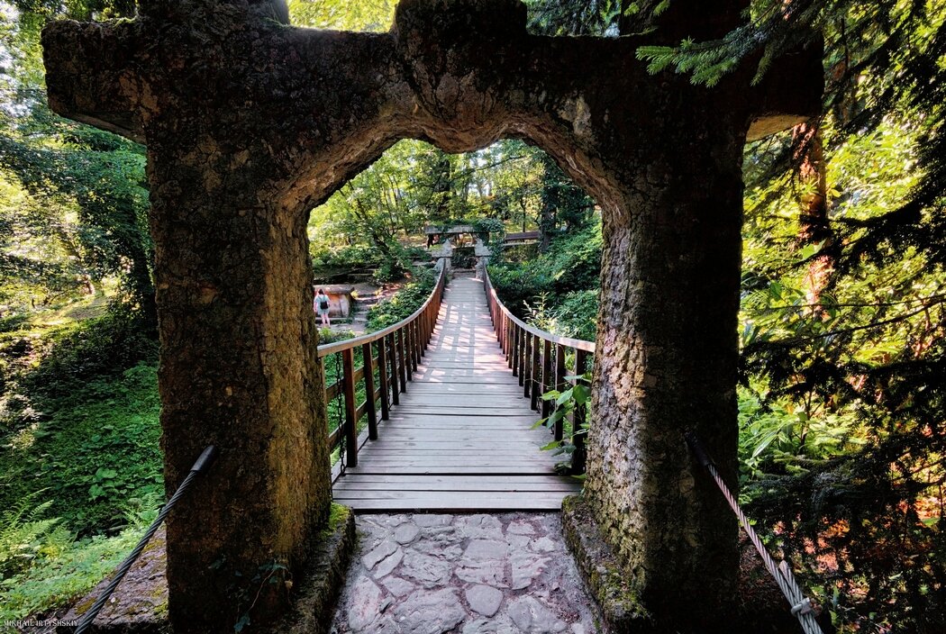 Подвесной мост в парке Дендрарий - Mikhail Irtyshskiy Подвесной мост в парке Дендрарий - Mikhail Irtyshskiy