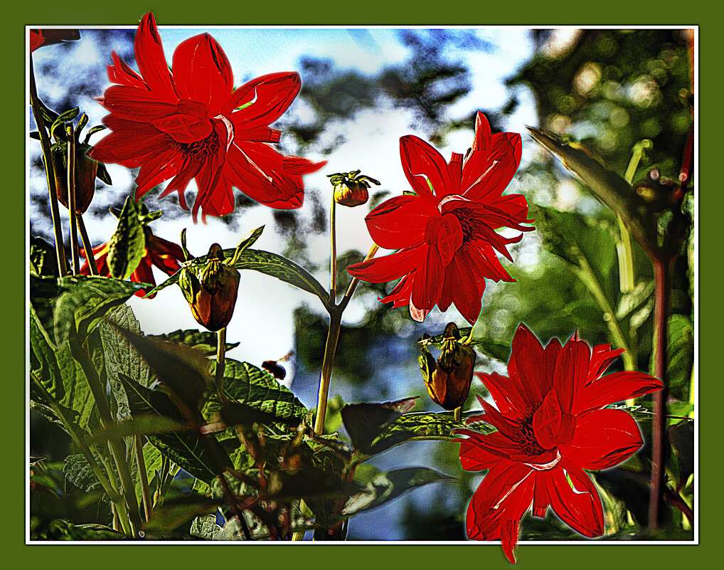 Лето 25 - Владимир Кроливец Лето 25 - Владимир Кроливец